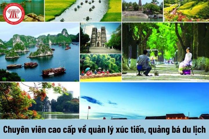 Chuyên gia Hotspot Matrix phân tích: Tôi sợ nhất kiểu cha mẹ làm và marketing video