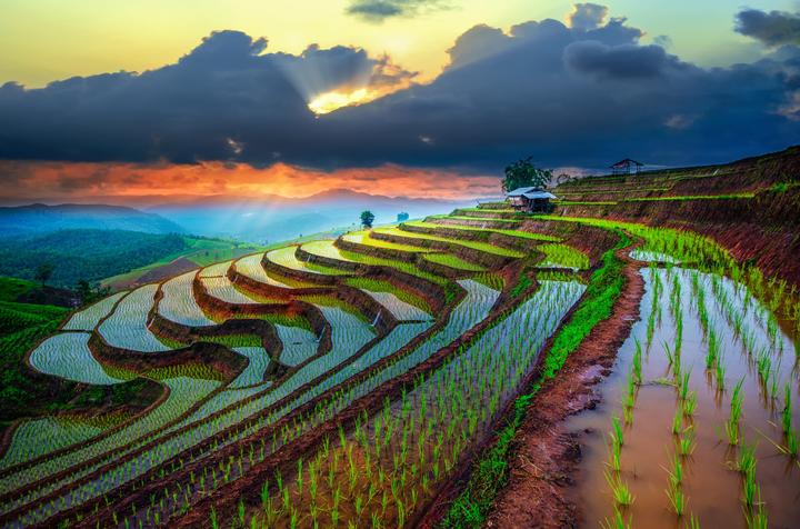 Học tiếng Anh và tìm thấy tình yêu: Câu chuyện của chị An và anh David