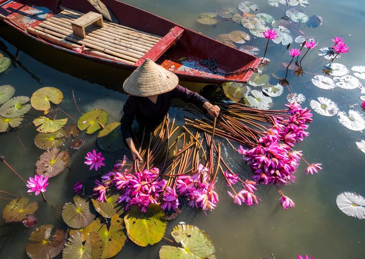 Xu hướng Sốc nặng với