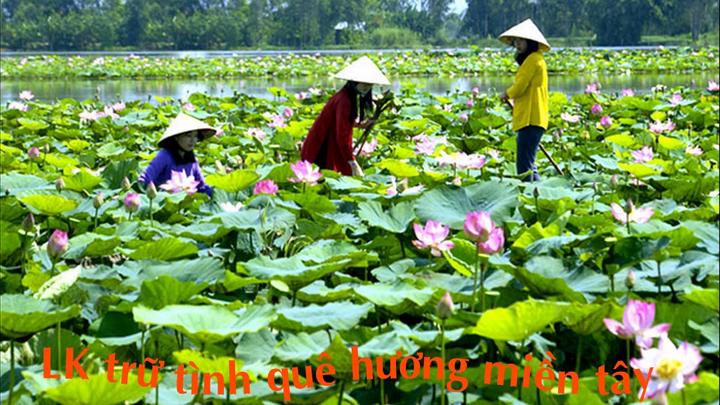 Từ Tay Ngang Đến Chuyên Gia Video Ngắn: Câu Chuyện Thành Công Cùng Hotspot Matrix