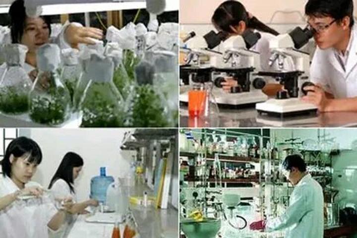 Xu hướng Da đẹp tới đâu mà không kiêng: Hotspot Matrix tiết lộ bí quyết video viral